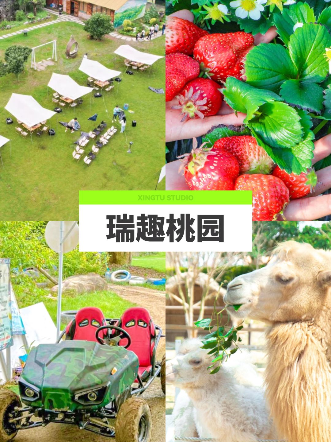 嘉兴团建必去9大宝藏地!解锁春日创意玩法