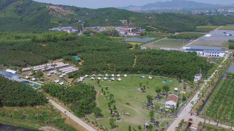 田美树心大草坪卡牌风云与团队挑战