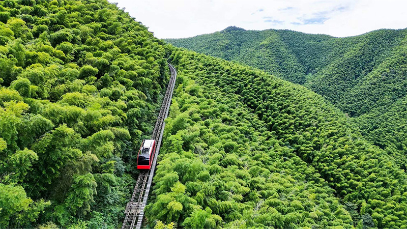 天目湖游船登岛与南山竹海景观