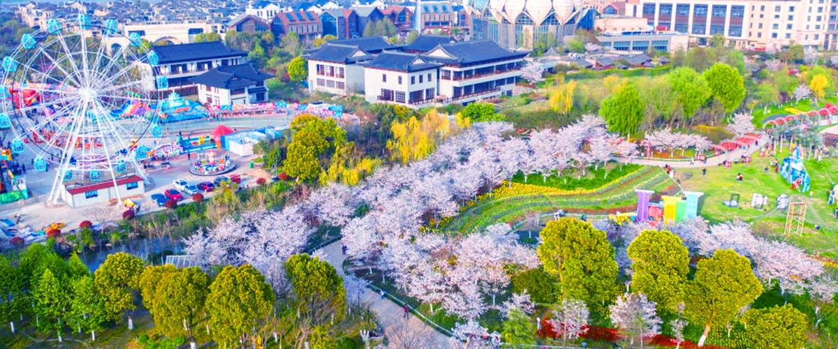 国家4A级嘉善云澜湾温泉花海团建与草坪拓展实景