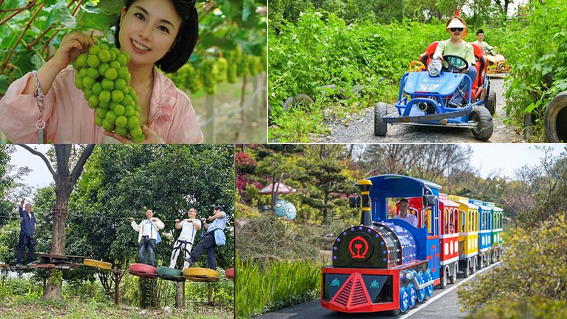 卡丁车滑道与田园采摘体验