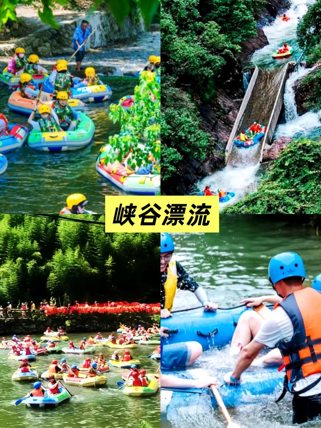 莫干山夏季 (1).jpg