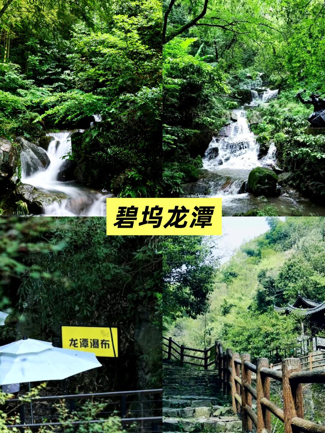 莫干山夏季 (20).jpg